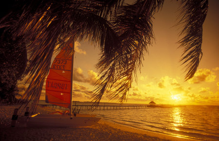 a beach with the seascape of the island and atoll of the Maldives Islands in the indian ocean.のeditorial素材