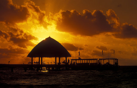 bungalow at the seascape of the island and atoll of the Maldives Islands in the indian ocean.のeditorial素材