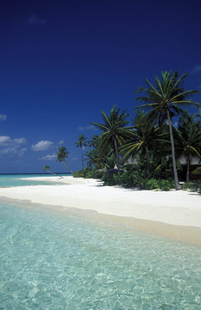 a beach with the seascape of the island and atoll of the Maldives Islands in the indian ocean.のeditorial素材