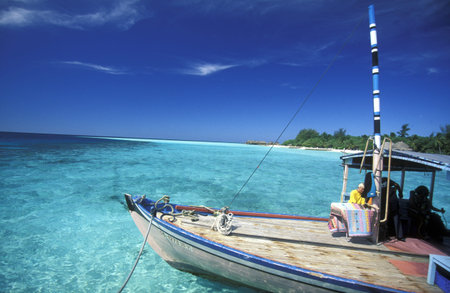 a dhoni Boat on the coast of the island and atoll of the Maldives Islands in the indian ocean.