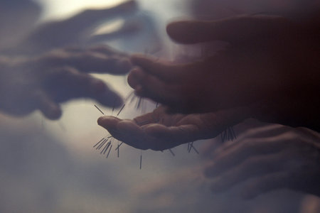 seniors and a acupuncture place at the Tapkol Prk in the city of Seoul in South Korea in EastAasia.  Southkorea, Seoul, May, 2006のeditorial素材