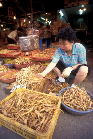 ginseng in a shop on a market in the city of Seoul in South Korea in EastAasia.  Southkorea, Seoul, May, 2006のeditorial素材
