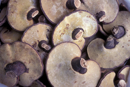 mushrooms at a foodmarket in the city of Seoul in South Korea in EastAasia.  Southkorea, Seoul, May, 2006のeditorial素材