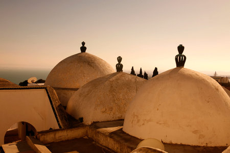 the roof of the Mosque of Sidi Bou Said in the Old Town of Sidi Bou Said near the City of Tunis in north of Tunisia in North Africa,  Tunisia, Sidi Bou Sair, March, 2009のeditorial素材