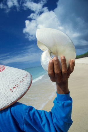 a local Men salls Sea shells on the Kuta Beach near Kuta in the south of Island Bali in Indonesia.  Indonesia, Bali, March, 2, 2001のeditorial素材