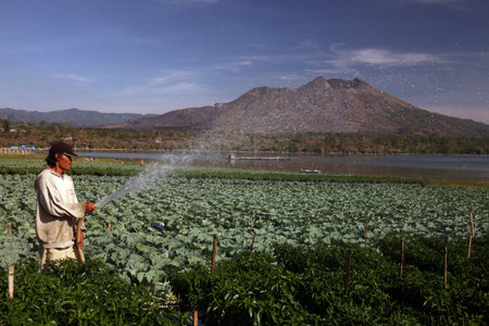 the landscape at the Lake Batur with the volcano Mt. Batur on the island Bali in indonesia in southeastasiaのeditorial素材
