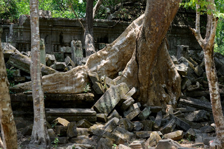 a view at the Tempel Ruins of Beng Mealea 32 Km north of the Temple City of Angkor near the City of...