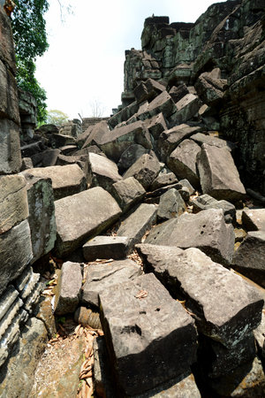 The Temple of  Ta Prohm in the Temple City of Angkor near the City of Siem Reap in the west of...