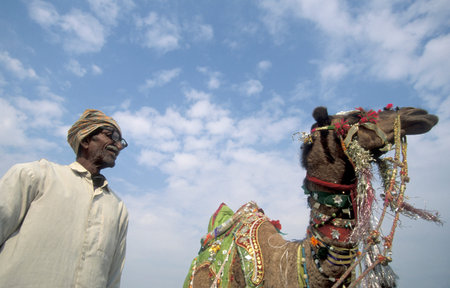 a camel herder at the Bikaner Camel Festival in the Town of Bikaner in the Province of Rajasthan in India.  India, Bikaner, January, 1998のeditorial素材