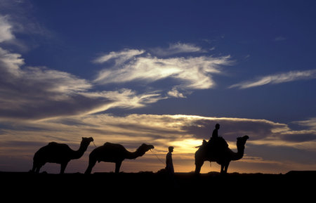 a Farmer with his Camel at a sunset in the Thar Desert near the Town of Jaisalmer in the Province of Rajasthan in India.  India, Jaisalmer, January, 1998のeditorial素材