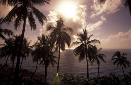 the landscape on the coast of the village Moya on the Island of Anjouan on the Comoros Ilands in the...