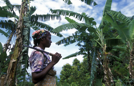 a women in the city of Moutsamudu on the Island of Anjouan on the Comoros Ilands in the Indian Ocean...