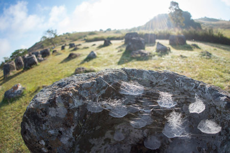 the plain of jars sit1 in the morning near the town of Phonsavan in the province Xieng Khuang in north Lao in southeastasia.のeditorial素材