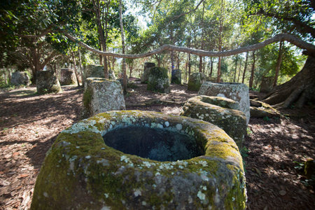 the plain of jars site 2 in the morning near the town of Phonsavan in the province Xieng Khuang in north Lao in southeastasia.のeditorial素材