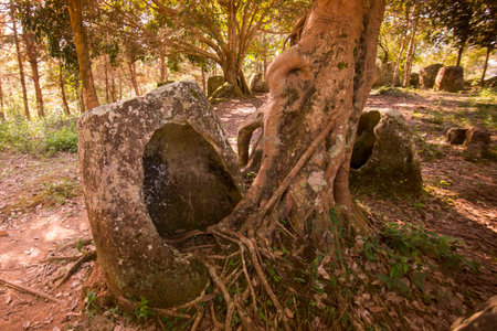 the plain of jars site 2 in the morning near the town of Phonsavan in the province Xieng Khuang in north Lao in southeastasia.のeditorial素材