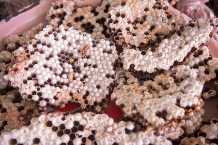 wild honey at the market in the town of Phonsavan in the province Xieng Khuang in north Lao in southeastasia.のeditorial素材