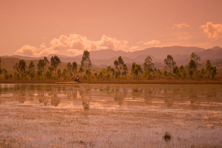 the landscape near the town of Phonsavan in the province Xieng Khuang in north Lao in southeastasia.のeditorial素材