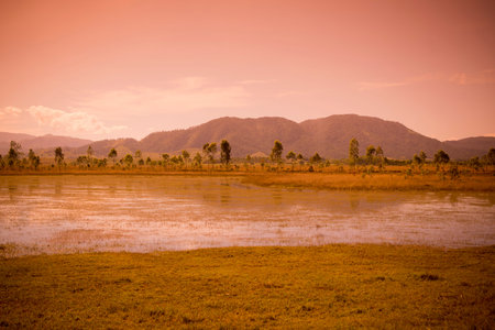 the landscape near the town of Phonsavan in the province Xieng Khuang in north Lao in southeastasia.のeditorial素材