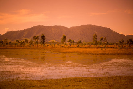 the landscape near the town of Phonsavan in the province Xieng Khuang in north Lao in southeastasia.のeditorial素材