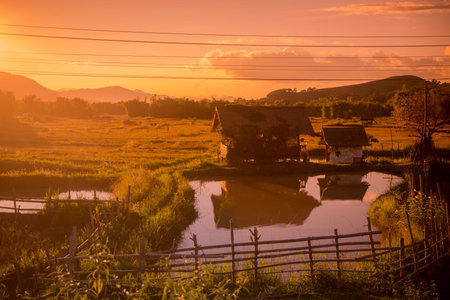 the landscape near the town of Phonsavan in the province Xieng Khuang in north Lao in southeastasia.のeditorial素材