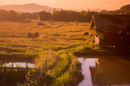 the landscape near the town of Phonsavan in the province Xieng Khuang in north Lao in southeastasia.のeditorial素材