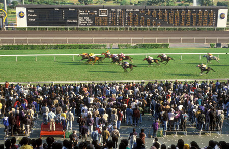a horse Race at Sha Tin near the city of Hongkong in Hongkong.  China, Hongkong, May, 1997
