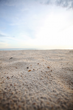 Beach sandの写真素材