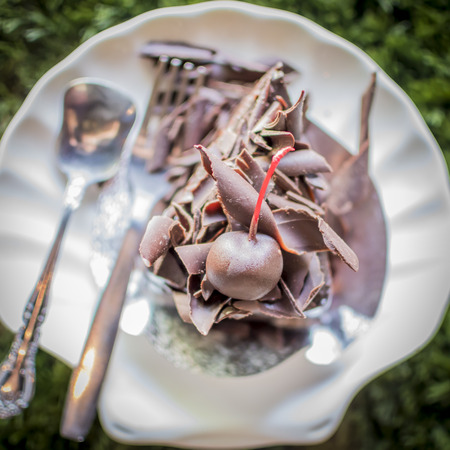 Chocolate cake put chocolate cherry on top.の写真素材