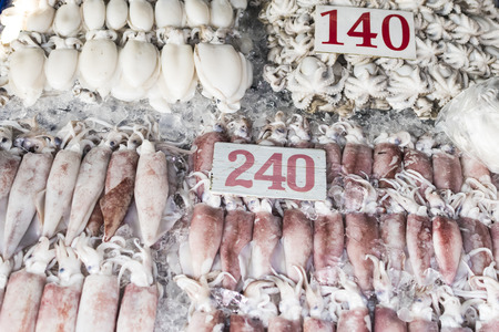 Many fresh squid in seafood market, Thailand.の写真素材