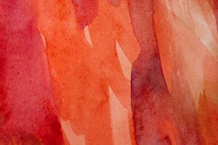 red watercolors on paper texture, background design, hand painted elementの写真素材