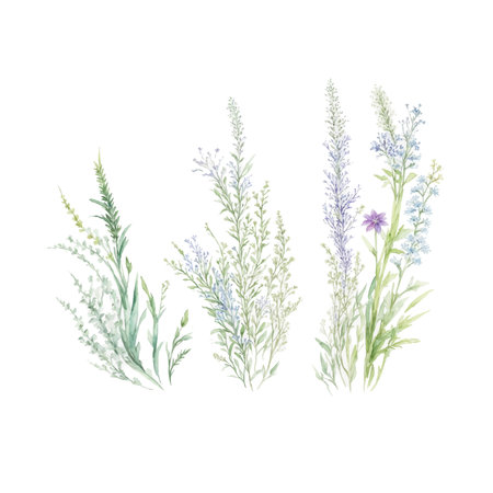Dried grass floral bouquet, frame. Wildflowers, herbs border painted in watercolor. Botanical boho elements isolated on white. Wedding invitation, greeting, card, printのイラスト素材