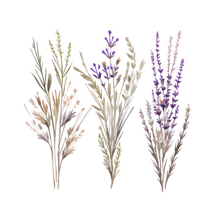 Flowers. Botanical blossom floral elements. Big set small hand drawing branches, leaves, herbs, wildflowers. Garden, meadow, field collection. Bloom bouquets vector illustration isolated on whiteのイラスト素材