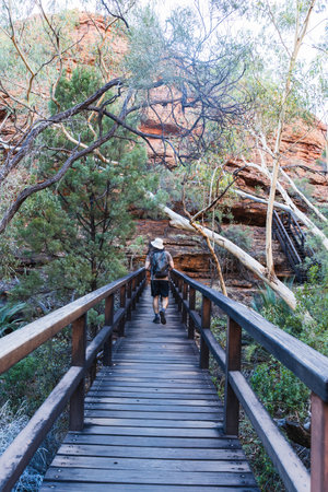 young man on the wooden bridgeの写真素材