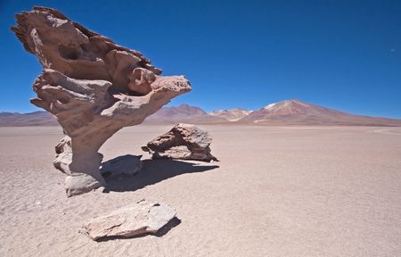 Rock Tree in the Bolivian Desertの写真素材