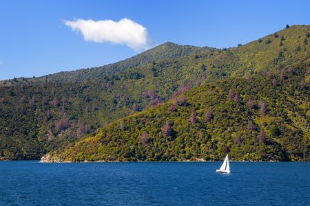 Sailing Boat in Marlborough Sounds, New Zealand.の写真素材