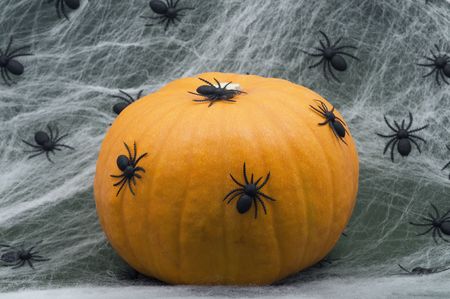 Halloween Pumpkin with Spiders on a Green Background.の写真素材