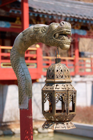 Oriental Lantern in South Korea