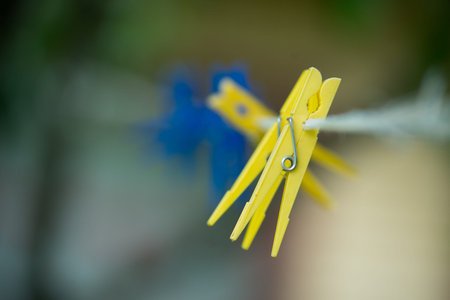 Clothespin of various colours attached to laundry rope