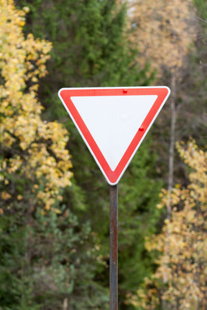 Rusty road priority sign on forest road
