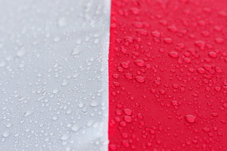 Abstract two colour background with water droplets (shallow depth of field)の写真素材