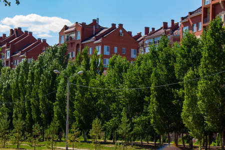 High-rise buildings hidden behind tall trees in the light of the sun.のeditorial素材