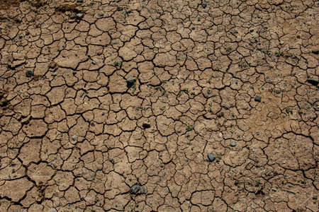 Dry, cracked earth with rocks and sparse grass bushes. A desolate area.の写真素材