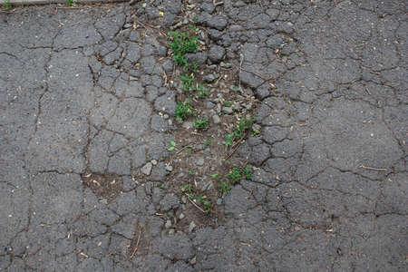The texture of the destroyed asphalt with grass appearing in the cracks.の写真素材