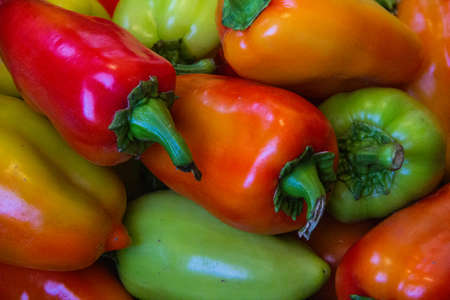 Yellow, red and green ripe bell pepper. Background of ripe pepper, texture.の写真素材