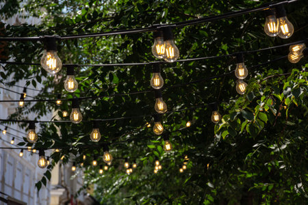 Garlands of lamps stretched on trees on the street of the city