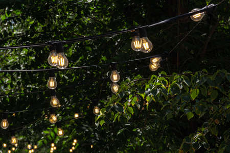 Garlands of lamps stretched on trees on the street of the cityの写真素材