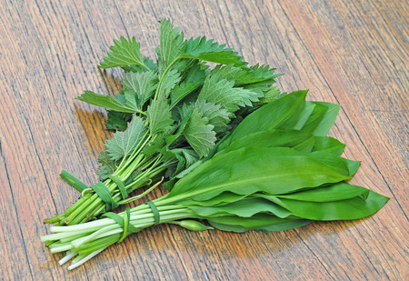 Wild garlic and common nettleの写真素材