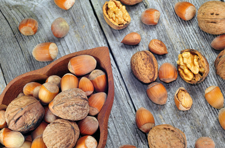 Hazelnuts and walnuts on a wooden tableの写真素材