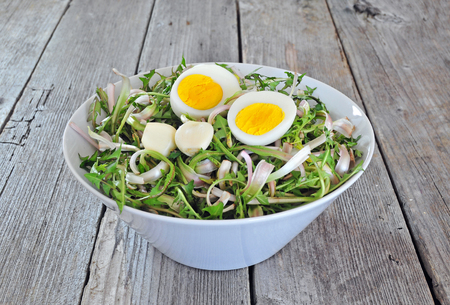 Fresh dandelion salad with boiled eggs and garlicの写真素材