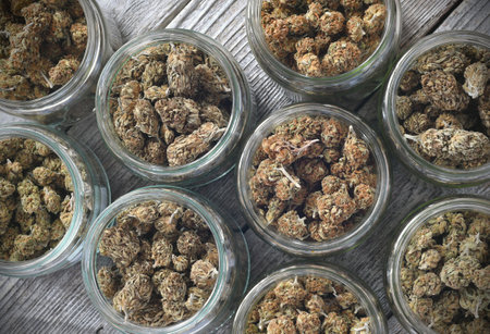 Dry and trimmed cannabis buds stored in a glas jars on a wooden tableの写真素材
